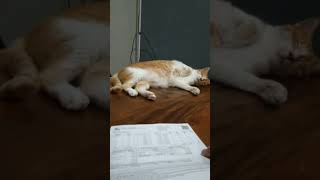 Masula Kahlil Pagpapahalaga Sa Sining