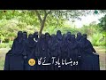 Best Friendship Nasheed Viral Islamicstatus 