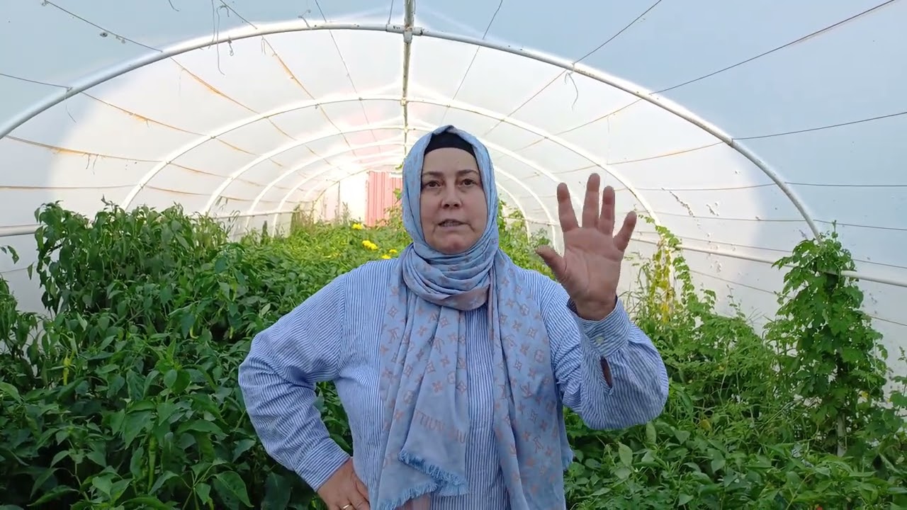 Sebzelerde Çapraz Tozlaşma, Hangi Sebzeler Yanyana Dikilmez, Bahçeye Dair Püf Noktalar