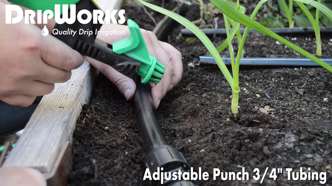 Adjustable Punch - Product in Action