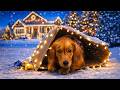 My Dog RAN AWAY the night before Christmas!