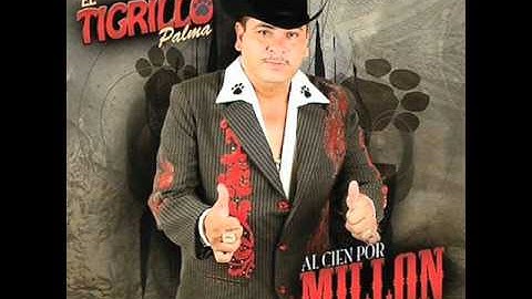 El 24-Tigrillo Palma