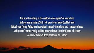 Tommy Docherty - Wallows (Lyrics) [From The Next 365 Days]