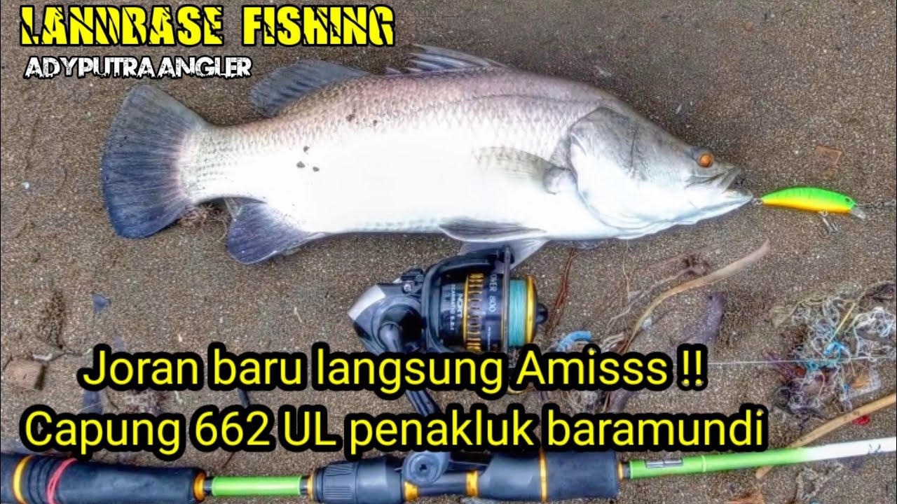 MANCING DI BARRO DADAP INDRAMAYU || SPOT MANCING POTENSIAL KAKAP PUTIH / BARAMUNDI DI INDRAMAYU