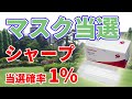 シャープのマスク抽選に当選しました【当選確率1%】