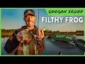 Breaking Down The Googan Squad 𝙓 Catch Co. FILTHY FROG w/ LFG & 1Rod! 