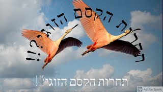 תחרות הקסמים הזוגית כבר כאן!! וגם תוצאות ההגרלה..