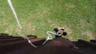 Webkinz Stunts!