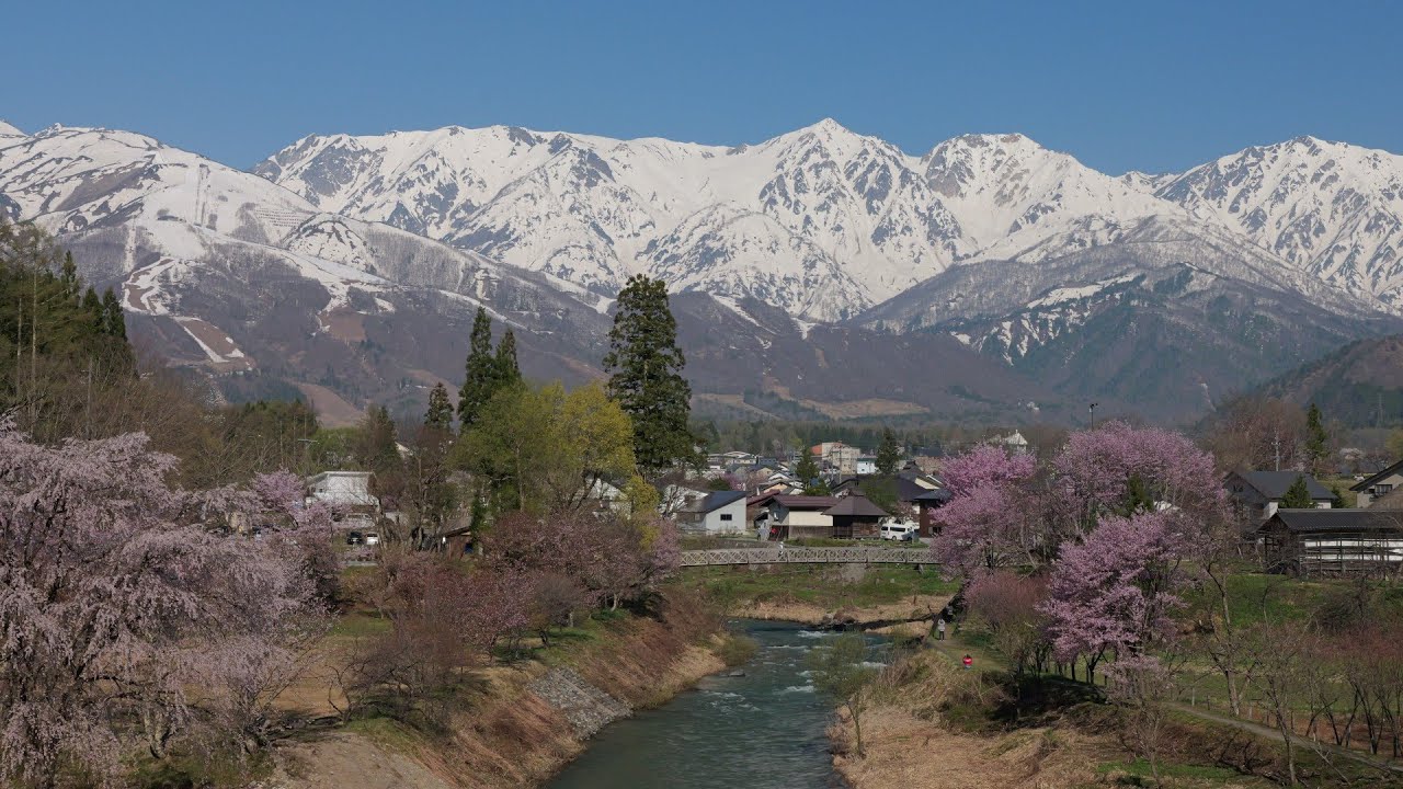 白馬ドライブ春　2025.04.26　中綱湖・野平・大出公園　長野県大町市・白馬村　めざせ楽々春景色見学
