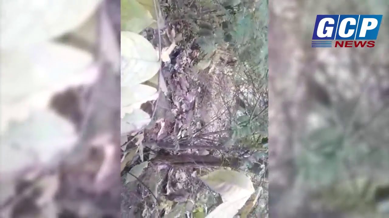 PALAMU:मनातू थाना के कुंडिलपुर गांव में ट्रिपल मर्डर, एक ही दिन तीन मर्डर से मची हड़कंप.