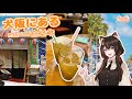 【店の紹介】大阪にあるたったひとつのサトウキビ搾りジュースの店知ってますか？