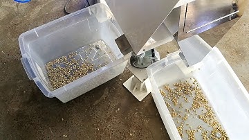 Raw Coffee Bean Color Sorter Machine