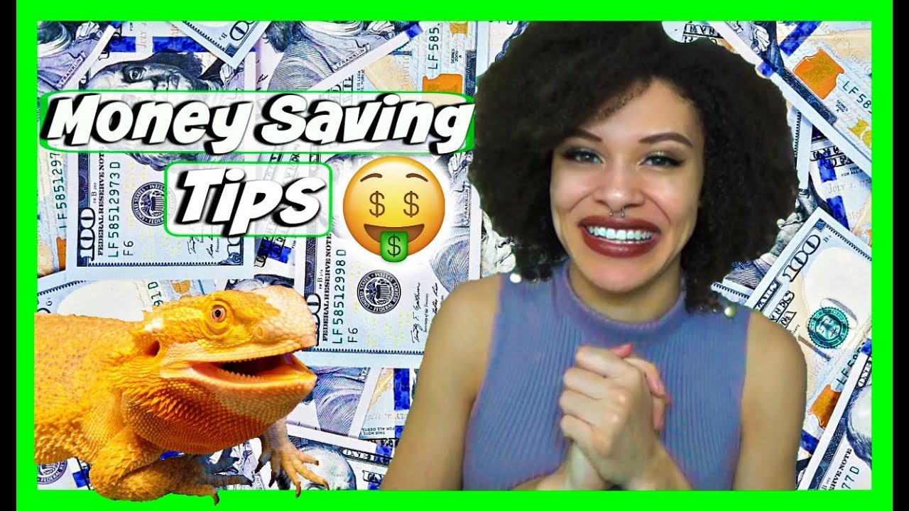 tyler rugge social blade How to Save Money on Beardies