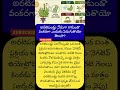#BananaFacts #NatureScience #FruitFacts #sciencetelugu