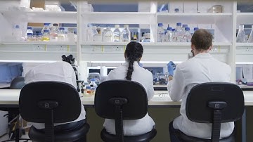 Cell counting: Stop the madness! End tedious, time-wasting manual cell counting