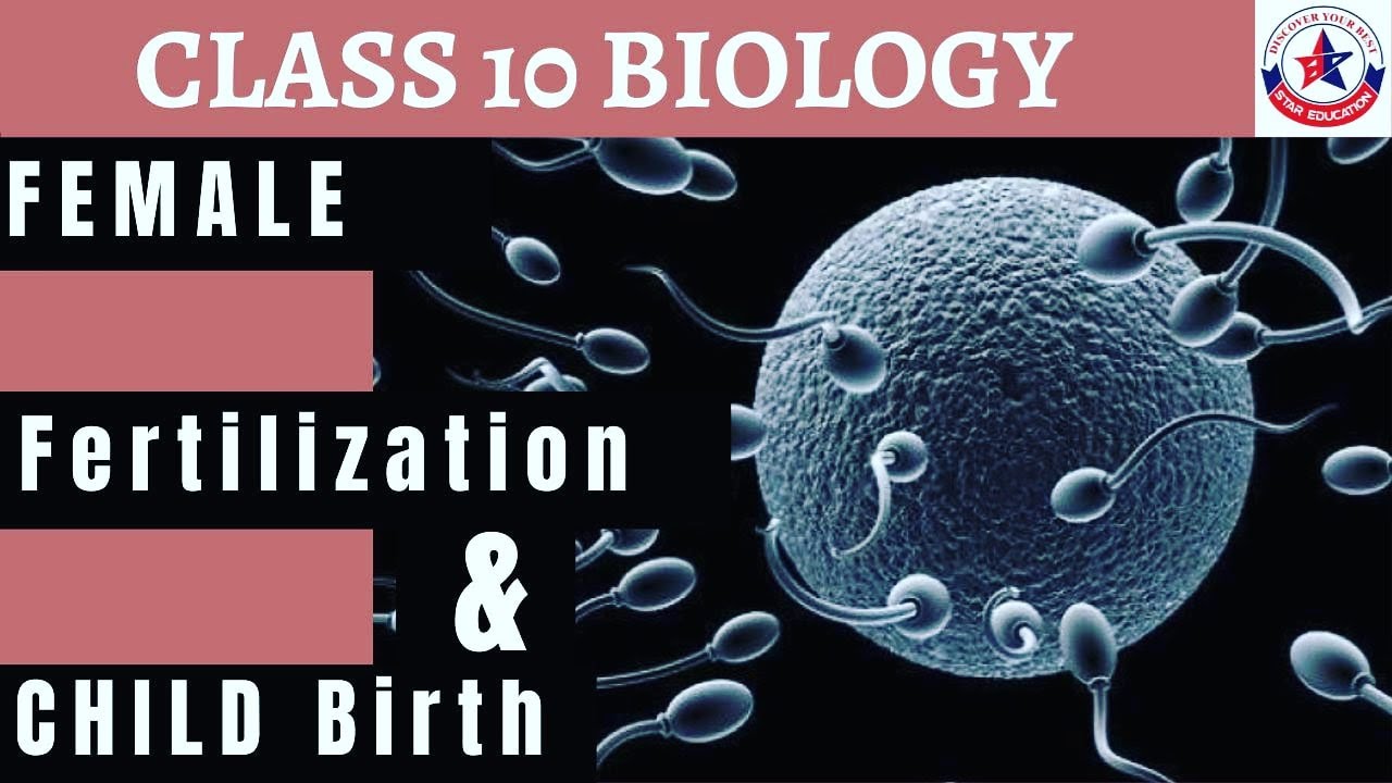 Fertilization and child birth|How do organisms reproduce|class 10 biology|star education