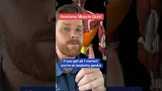 Muscle Quiz for Anatomy Students! #anatomy #anatomyquiz #quiz #anatomyandphysiology #muscle #quizzes