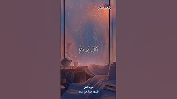 الَّذِينَ صَبَرُوا وَعَلَىٰ رَبِّهِمْ يَتَوَكَّلُونَ || القارئ عبدالرحمن مسعد 🍀🎧