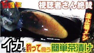 イカ釣って簡単茶漬け(100話目)