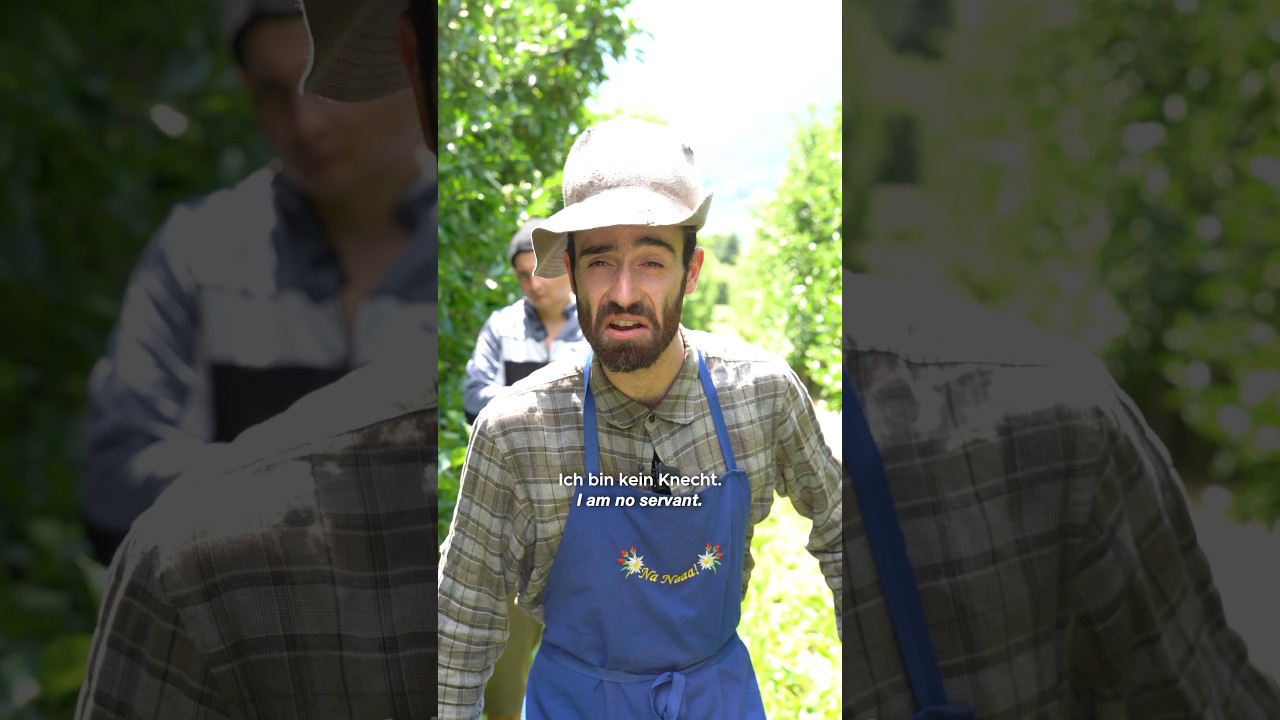 Bauer hat Nahtoderfahrung #comedy #skit #humor #landwirtschaft #buonomemes