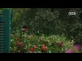 كاظم الساهر من كتاب الحب شعر من مسلسل في مدرسة الحب