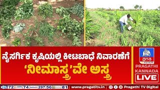 ರೋಗಬಾಧೆ ನಿಯಂತ್ರಣಕ್ಕೆ ಇಲ್ಲಿದೆ ಸರಳ ಮಾರ್ಗ..? | ನಿಮ್ಮಲ್ಲೆ ಸಿಗುವ ಪದಾರ್ಥಗಳೇ ಕೀಟಬಾಧೆಗೆ ಮದ್ದು..!