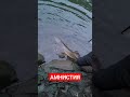 #youtubeshorts #youtuber #fishing #рекомендации #рек #врек #рыбалка #врекомендации