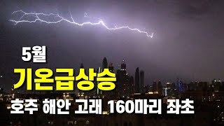 5월은 기온이 급상승합니다