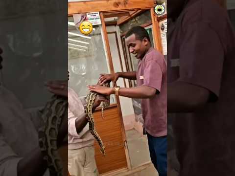 Part 1 Najash Mohammed Fi Sahiboota Isaa Iddoo Bofaa Ykn Jawwee Itti Dawaatan Itti Bohaara