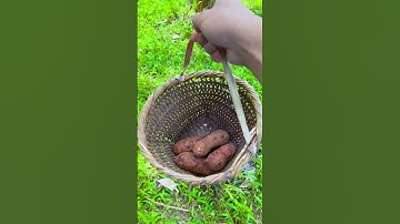 1 đồng ăn gì? p12 #shorts #tiktok #foryou #xuhuong #fyp #langlieu