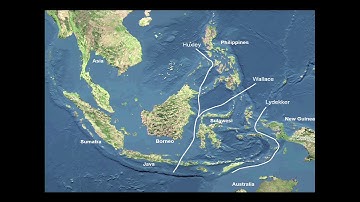 Ecological Opportunity and Adaptive Radiation of Fanged Frogs in Southeast Asia