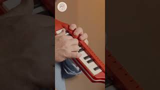 Jealous of my melodica? #thefowlerwoodsessions #johnlennonjealousguy #music