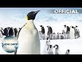 March Of The Penguins 2 Trailer Out Now On Digital Download DVD Blu Ray