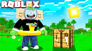 I Put ROBLOX Into MINECRAFT...