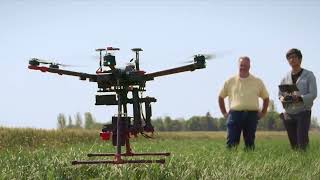 Collaboration is Key in Leading Life-Changing Agri-Food Innovation
