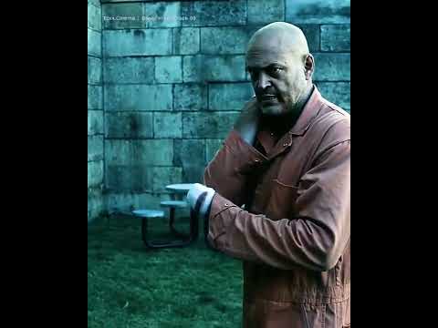 brawl in cell block 99