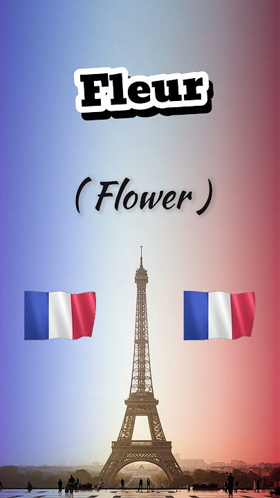 Download lagu How to Pronounce Fleur in French #learnfrench #frenchforbeginner #frenchlessons #frenchlanguage