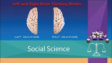 Left and Right Brain Thinking Modes