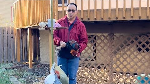 Lwm sub xa xyoo laus txais tos xyoo tshiab