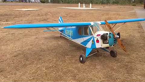 1/4 scale Piper Clipped wing cub