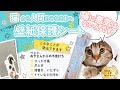 グリーンウィーク 猫爪とぎ防止 壁紙保護シート 紹介、貼付方法 動画