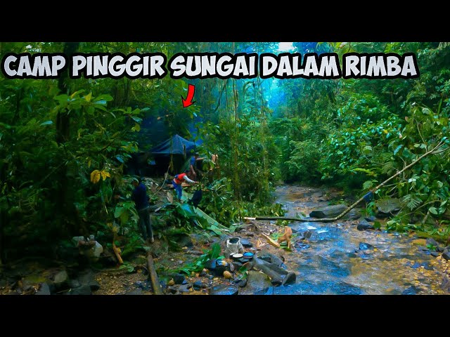 River Trekking Adventure Exploring the Jungle in Search of Sialang Honey | CAMP FISHING ADVENTURE class=