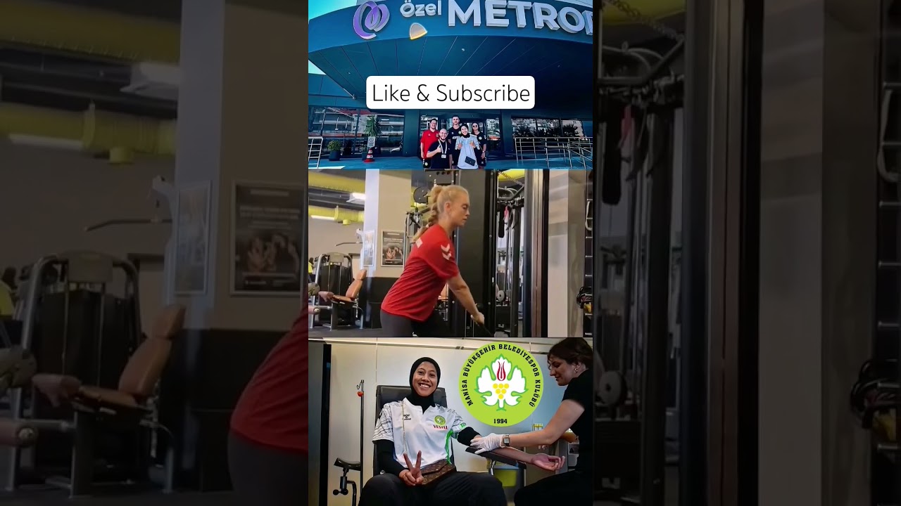 Aileye hoş geldin, Mega 