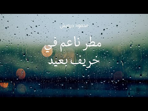 مطر ناعم في خريف بعيد محمود درويش