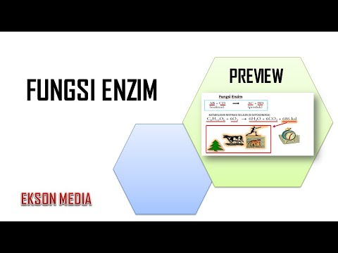 Video: Perbedaan Antara Enzim Intraseluler Dan Ekstraseluler