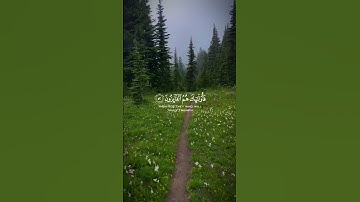 القارئ عبدالرحمن مسعد ﴿ومن يطع الله ورسوله ويخش الله ويتقه فأولئك هم الفائزون﴾ سورة النور 52