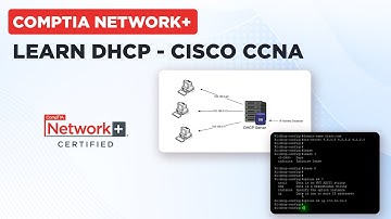 What is DHCP? Cisco CCNA - CompTIA Network+