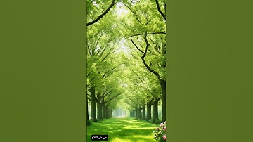 قرآن كريم سورة فاطر بصوت القارئ الشيخ سعود الشريم