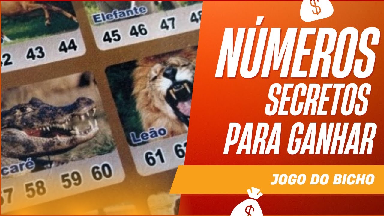 Presente de Natal para GANHAR no JOGO DO BICHO - YouTube