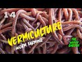 How to make a worm farm